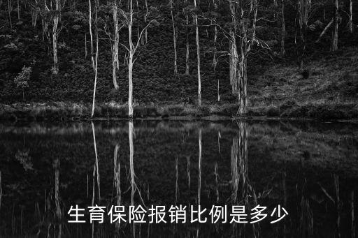 生育保險報銷多少，生育保險可以報多少錢
