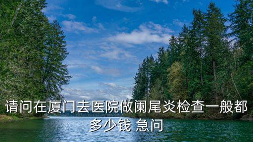 請問在廈門去醫(yī)院做闌尾炎檢查一般都多少錢 急問