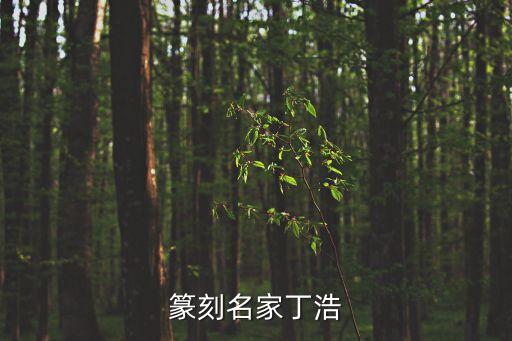 丁浩，無極魔道為什么丁浩可以掌控修煉無極魔功的人