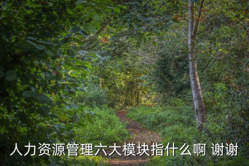 人力資源管理六大模塊指什么啊 謝謝