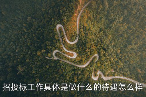 招投標(biāo)工作，請(qǐng)問招投標(biāo)業(yè)務(wù)人員的工作內(nèi)容是什么啊