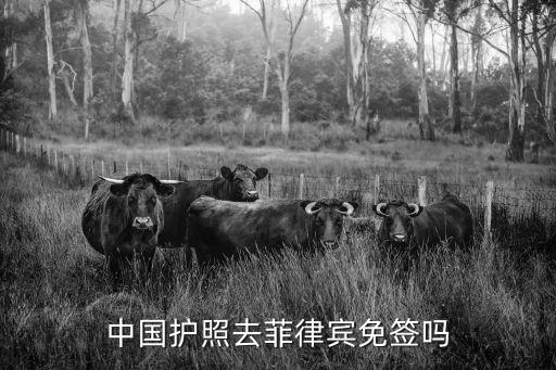 菲律賓免簽，菲律賓對(duì)中國(guó)免簽嗎