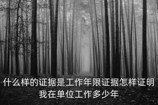 什么樣的證據(jù)是工作年限證據(jù)怎樣證明我在單位工作多少年