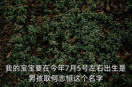 何志恒，我的寶寶要在今年7月5號(hào)左右出生是男孩取何志恒這個(gè)名字
