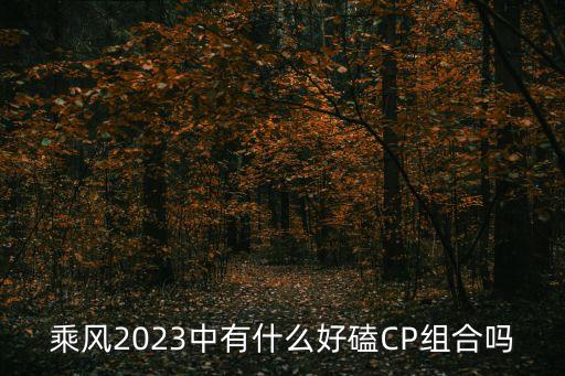 徐朝陽，少林小子 小演員表