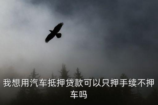 抵押不押車(chē)，我想用汽車(chē)抵押貸款可以只押手續(xù)不押車(chē)嗎