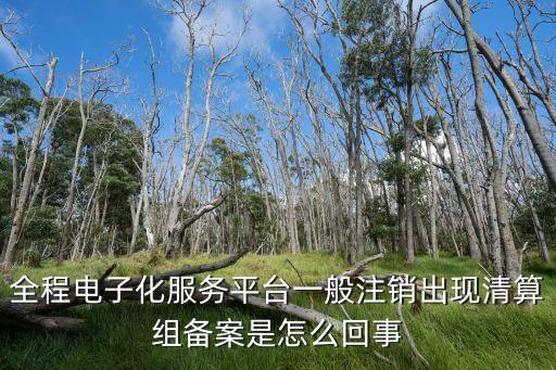 全程電子化服務(wù)平臺(tái)一般注銷出現(xiàn)清算組備案是怎么回事