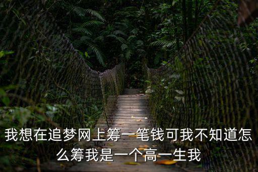 追夢(mèng)籌，我想在追夢(mèng)網(wǎng)上籌一筆錢可我不知道怎么籌我是一個(gè)高一生我