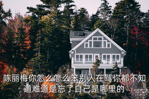 陳麗梅你怎么怎么笨別人在罵你都不知道難道是忘了自己是哪里的