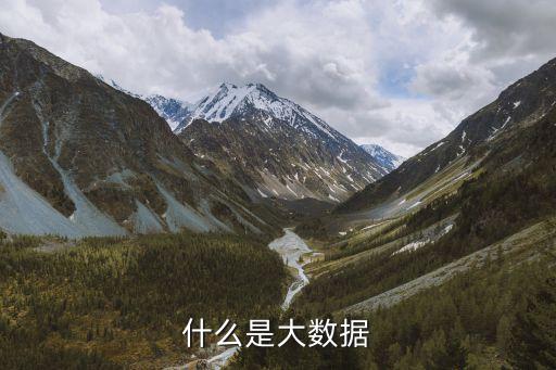 大數(shù)據(jù)，簡述什么是大數(shù)據(jù)