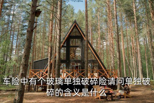 車險中有個玻璃單獨破碎險請問單獨破碎的含義是什么