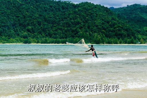 叔叔的老婆應(yīng)該怎樣稱呼