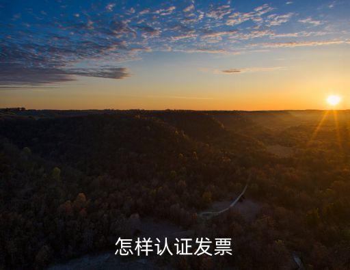 發(fā)票認(rèn)證，什么叫做發(fā)票認(rèn)證呀