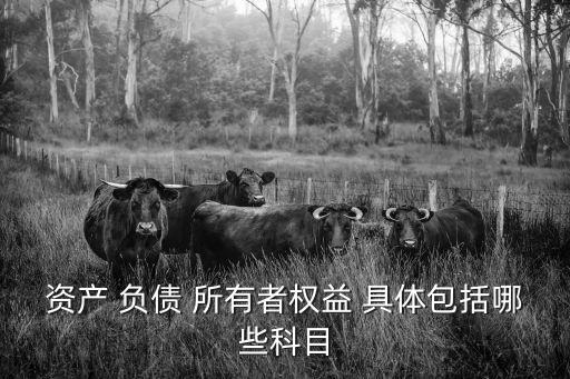 所有者權(quán)益科目，所有者權(quán)益類科目有哪些