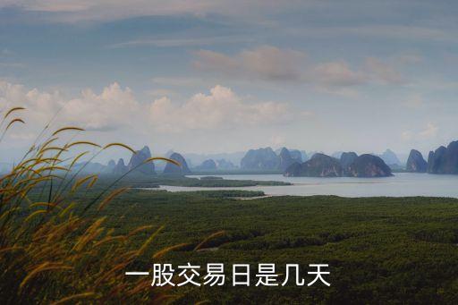 一股交易日是幾天