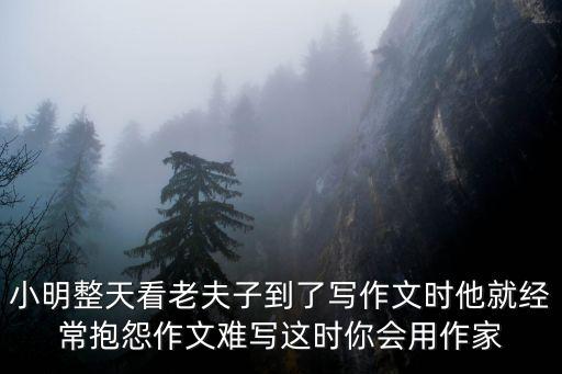 小明整天看老夫子到了寫作文時(shí)他就經(jīng)常抱怨作文難寫這時(shí)你會(huì)用作家