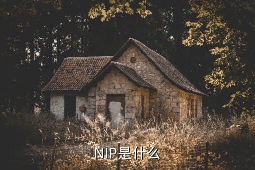 NIP是什么