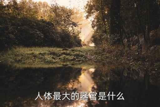 大但人體，大但體體藝術(shù)