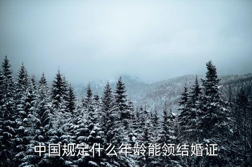 中國規(guī)定什么年齡能領(lǐng)結(jié)婚證