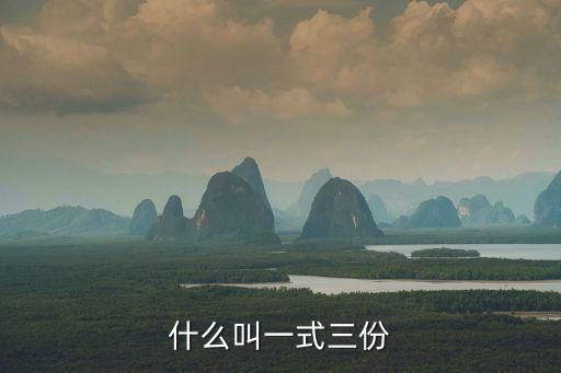 什么叫一式三份