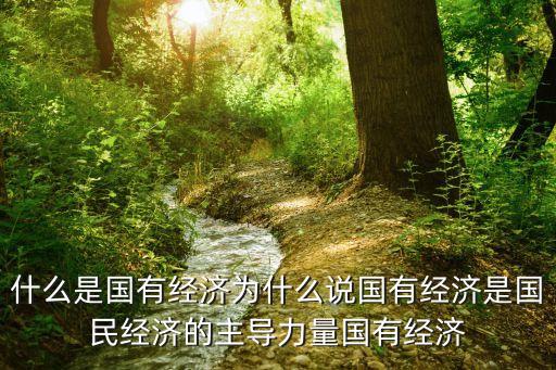 什么是國有經(jīng)濟為什么說國有經(jīng)濟是國民經(jīng)濟的主導力量國有經(jīng)濟