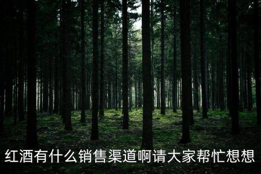 紅酒銷售渠道，目前在葡萄酒行業(yè)里有哪些傳統(tǒng)的銷售渠道