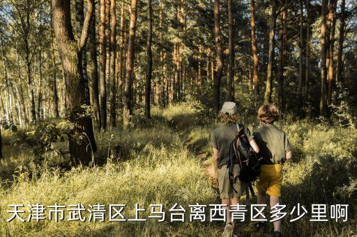 上馬臺鎮(zhèn)，天津市武清區(qū)上馬臺離西青區(qū)多少里啊