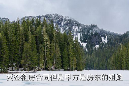 房東姐姐，要簽租房合同但是甲方是房東的姐姐