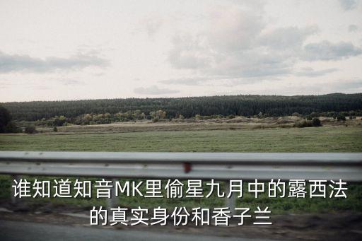 張力文，粵BN369W的車主是誰