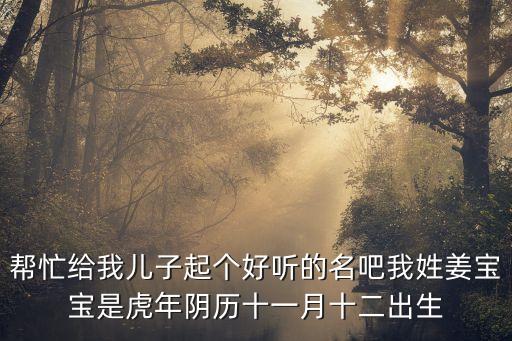 幫忙給我兒子起個(gè)好聽(tīng)的名吧我姓姜寶寶是虎年陰歷十一月十二出生