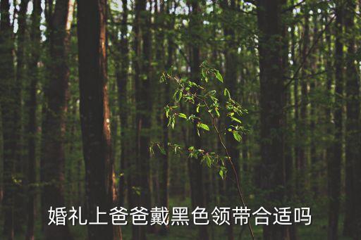爸爸的領帶，給爸爸的領帶 寫什么 祝福詞