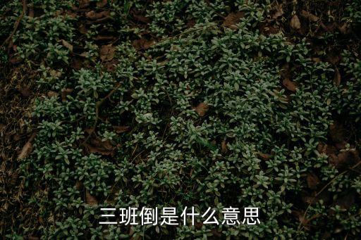 三班倒是什么意思