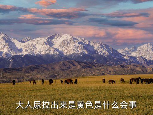 成年人黃色，黃色文化對成年人的危害有那些