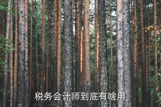 稅務(wù)會計(jì)師到底有啥用