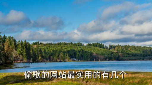 偷歌的網(wǎng)站最實(shí)用的有幾個(gè)