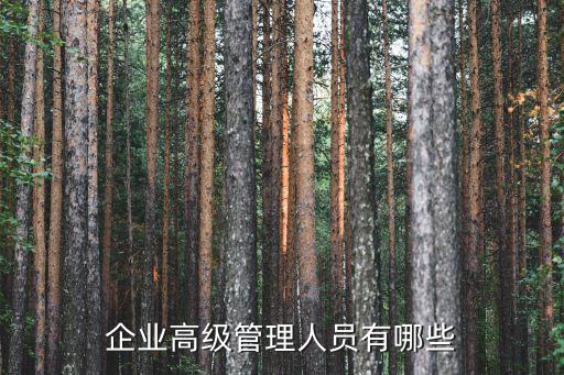 高級管理人才，企業(yè)高級管理人員有哪些