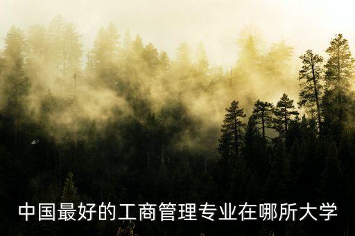 中國最好的工商管理專業(yè)在哪所大學(xué)