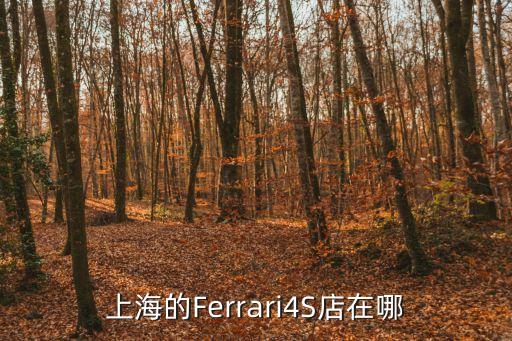 上海的Ferrari4S店在哪