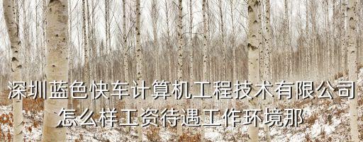 深圳藍(lán)色快車(chē)計(jì)算機(jī)工程技術(shù)有限公司怎么樣工資待遇工作環(huán)境那