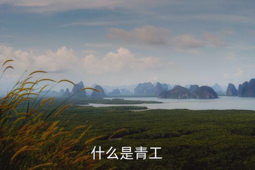什么是青工