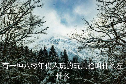 有一種八零年代人玩的玩具槍叫什么左什么
