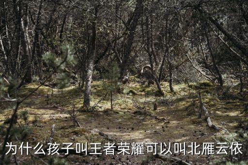北雁云依，山東北雁云依姓名案件誰勝了