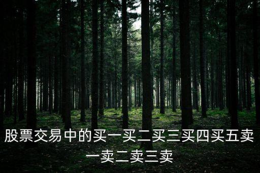 買二，股票交易中的買一買二買三買四買五賣一賣二賣三賣