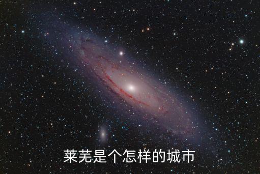 萊蕪是個怎樣的城市