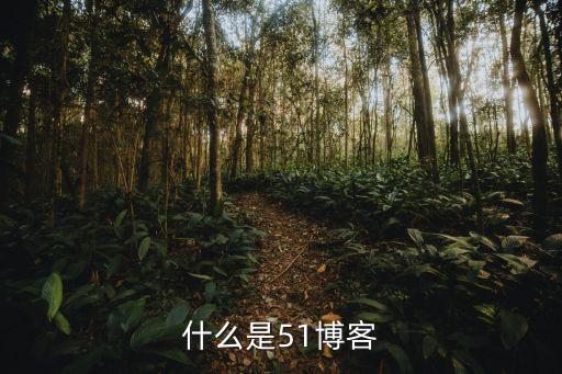 龐東升，51老總是哪個(gè)