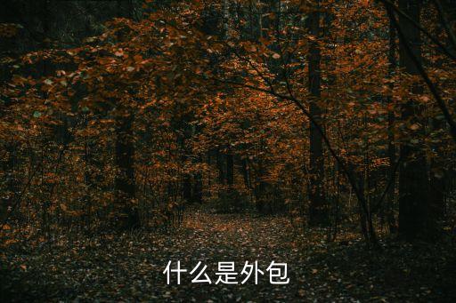 外包什么意思，什么是外包