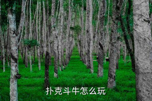 打牌斗牛，撲克斗牛怎么玩