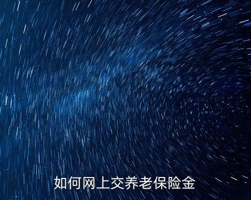 如何網(wǎng)上交養(yǎng)老保險(xiǎn)金