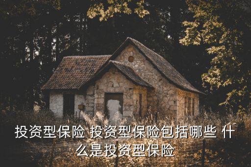 投資型保險 投資型保險包括哪些 什么是投資型保險