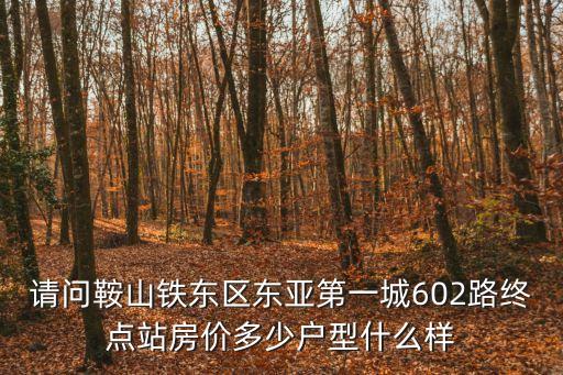 請問鞍山鐵東區(qū)東亞第一城602路終點(diǎn)站房價(jià)多少戶型什么樣